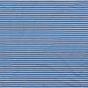 NAVY / WHITE
