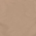 BURNSIDE MENS MICROFIBER SHORT  - B 9803