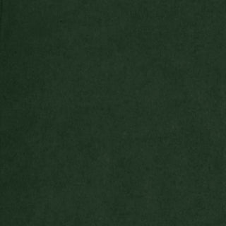 Buy forest-green MENS FULL ZIP ARCTIC POLAR FLEECE VEST - S 3010