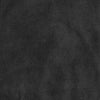 CHARCOAL